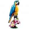  -  - LEGO  LEGO Creator 31136  , 253 .