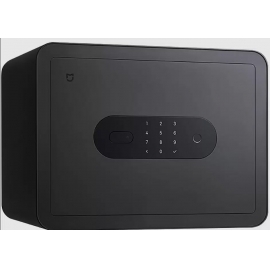 Xiaomi  BGX-5/X1-3001